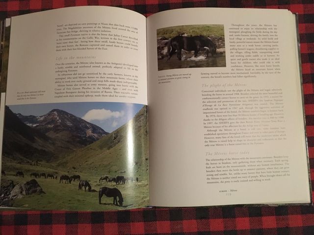 LIBRO SOBRE CABALLOS SALVAJES DEL MUNDO