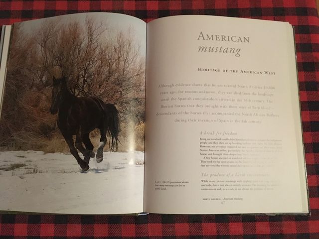 LIBRO SOBRE CABALLOS SALVAJES DEL MUNDO