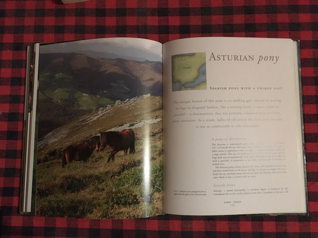 LIBRO SOBRE CABALLOS SALVAJES DEL MUNDO