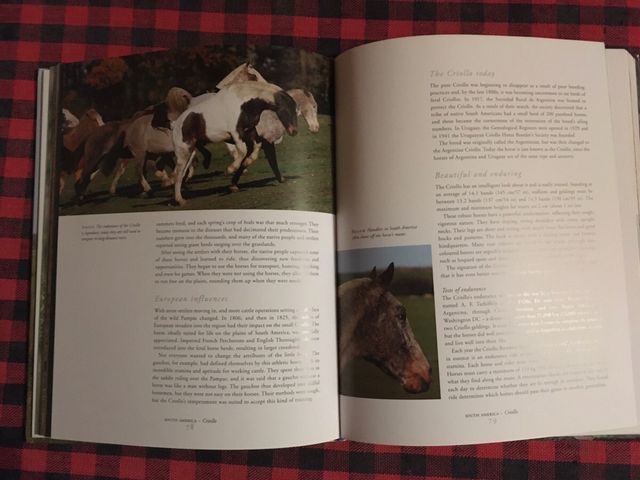 LIBRO SOBRE CABALLOS SALVAJES DEL MUNDO