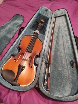 Violín