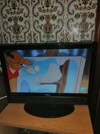 MONITOR TV PLANA