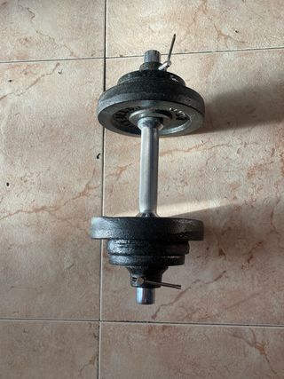 Mancuerna 10 kg combinable discos