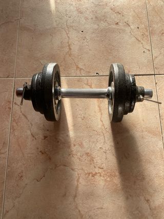 Mancuerna 10 kg combinable discos