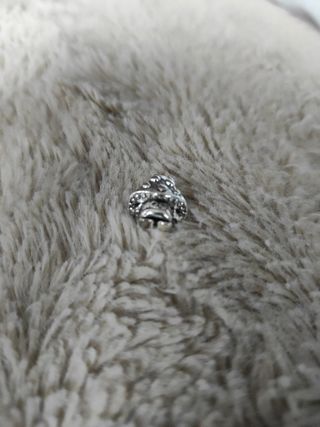 Charm seta Pandora