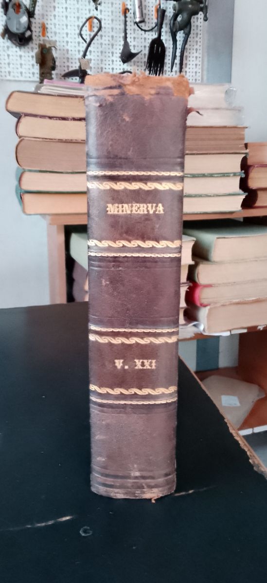 Minerva rivista delle riviste anno 1901 completo