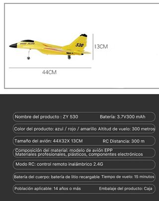 AVIÓN CON MANDO A DISTANCIA ZY 530 