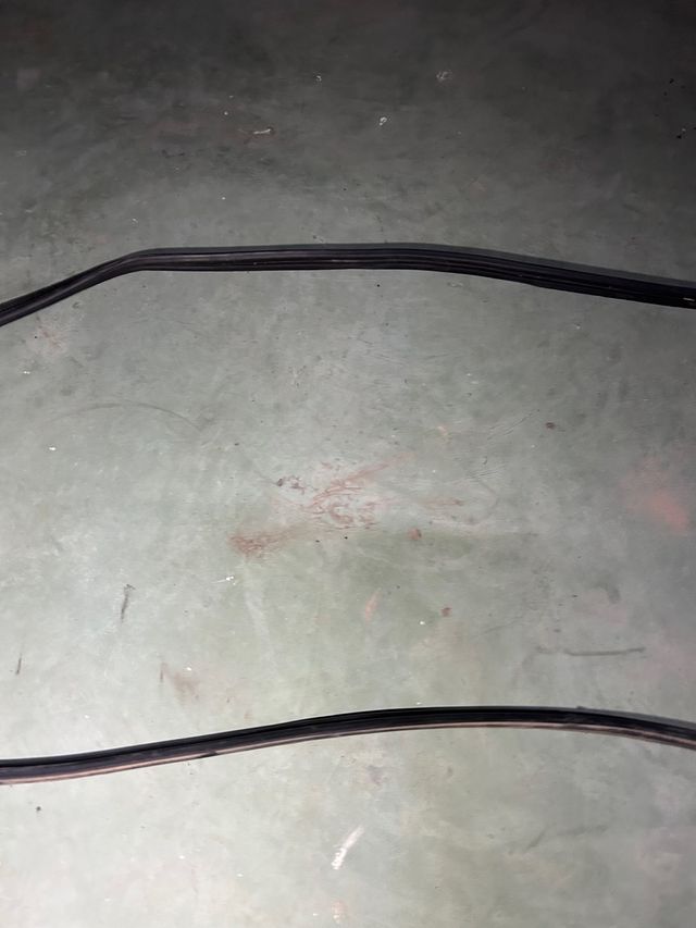 Goma porton trasero Renault Scenic RX4