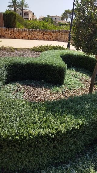 hola soy jardinero hace. de todo