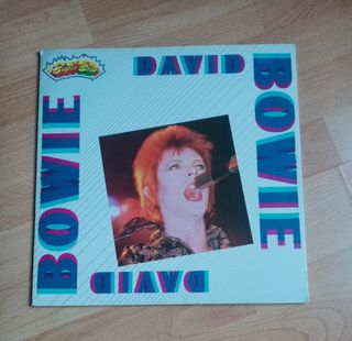 DAVID BOWIE VINILO LIBRO