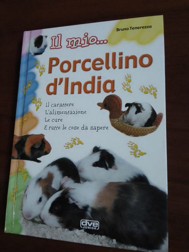 Libro sui Porcellini d'india