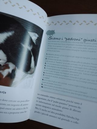 Libro sui Porcellini d'india