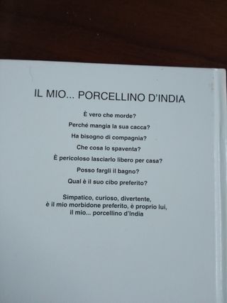 Libro sui Porcellini d'india