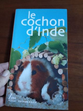 Libro in francese sul Porcellino