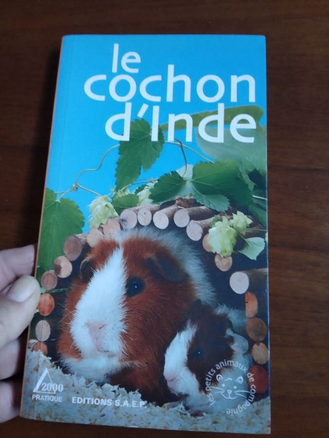 Libro in francese sul Porcellino