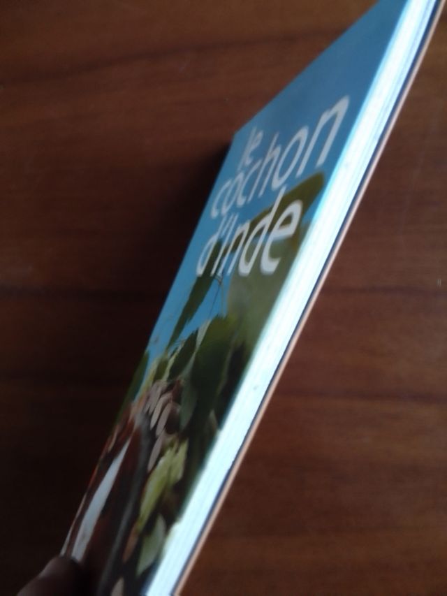 Libro in francese sul Porcellino