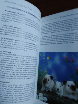 Libro in francese sul Porcellino