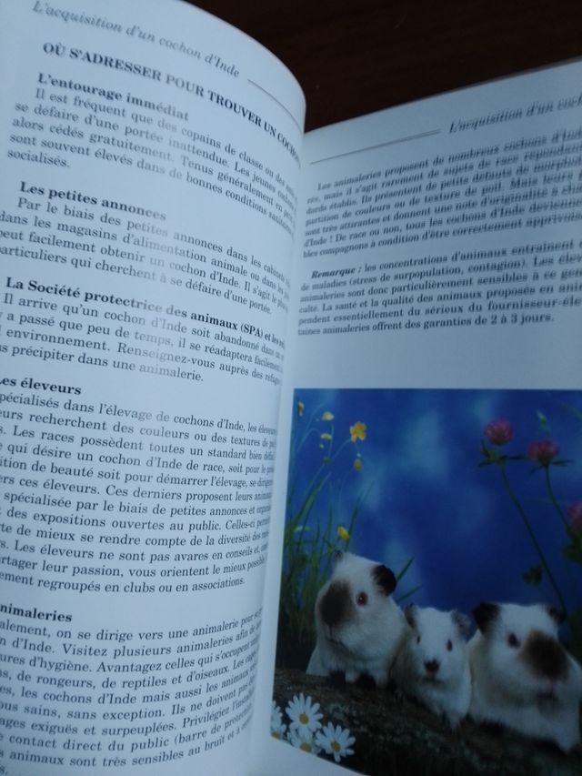 Libro in francese sul Porcellino