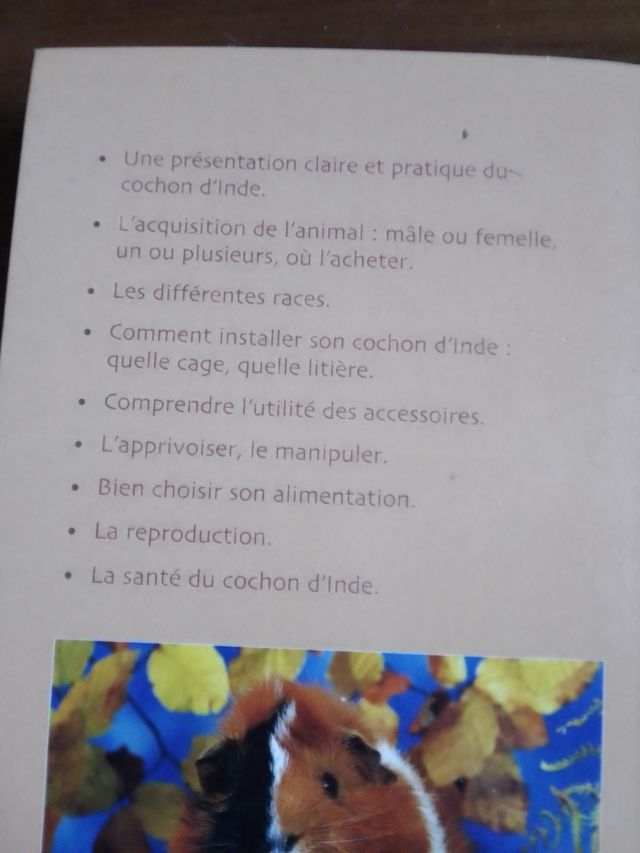 Libro in francese sul Porcellino