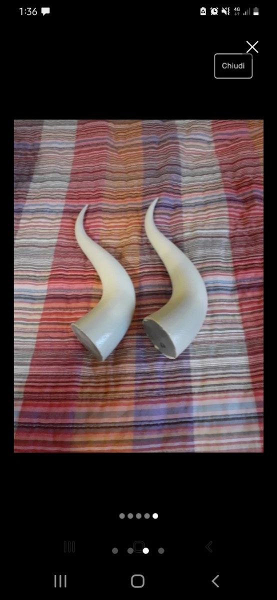 Skyrim (videogioco) Elmo Vichingo