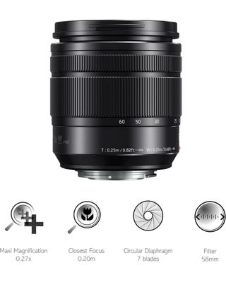 Objetivo LUMIX G-Vario 12-60