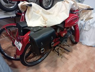 GUZZI  73 CARDELLINO