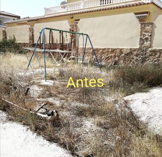 Limpieza de parcelas 
