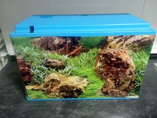 Pecera acuario