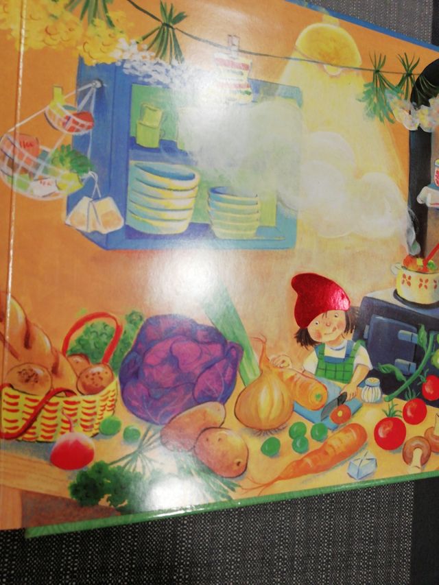 Libro 10 nans Elfos catalán