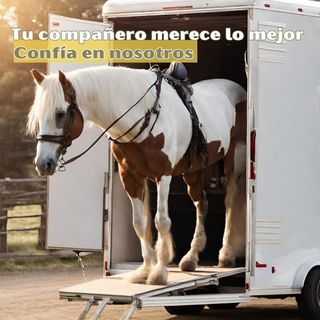 Transportes de caballos