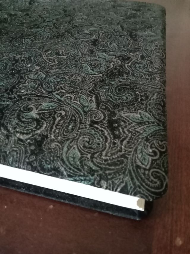 Album portafoto in velluto