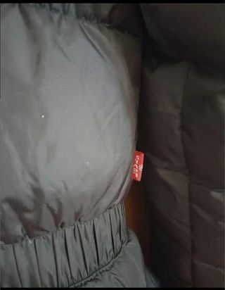 PLUMAS LEVI,S