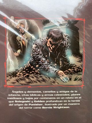 Punisher, El Castigador - Angeles y Demonios