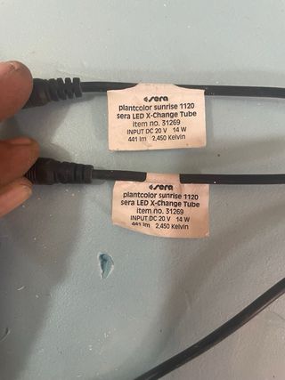 tubos led sera acuario plantas