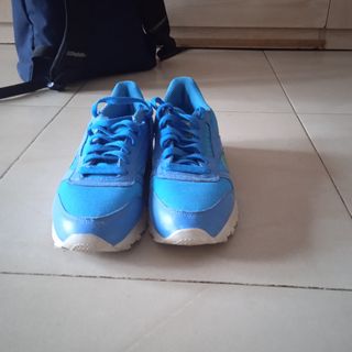 Zapatillas