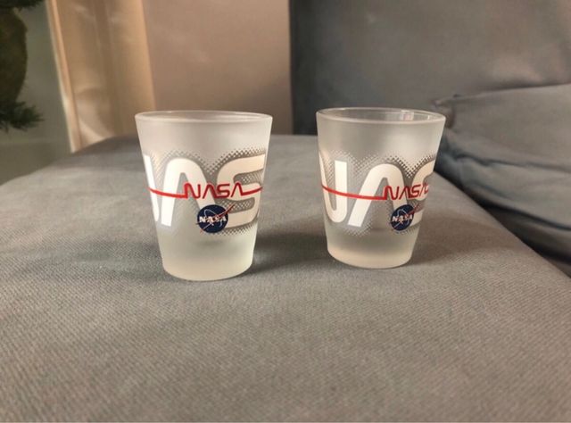 Bicchierini shootini NASA