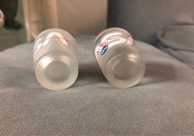 Bicchierini shootini NASA