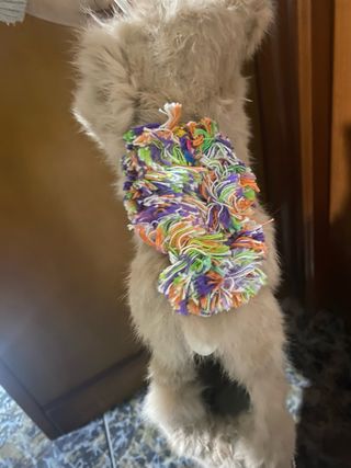 chaleco camel pelo con aplicaciones colores