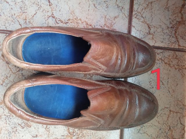 Zapados y zapatillas