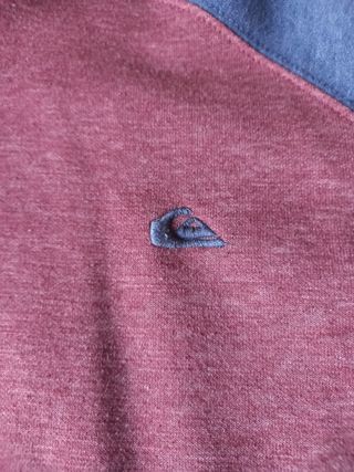 Sudadera chico quinksilver 