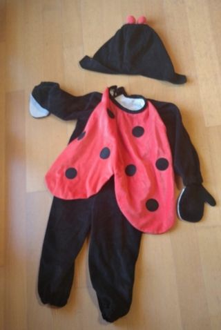 Vestito carnevale 🐞 Trudi