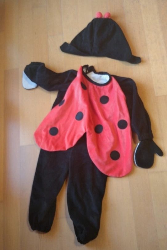 Vestito carnevale 🐞 Trudi