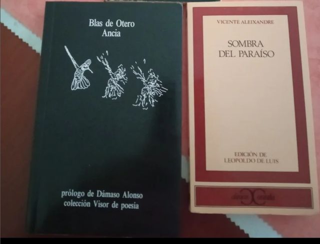 Sombra del paraíso, Ancia