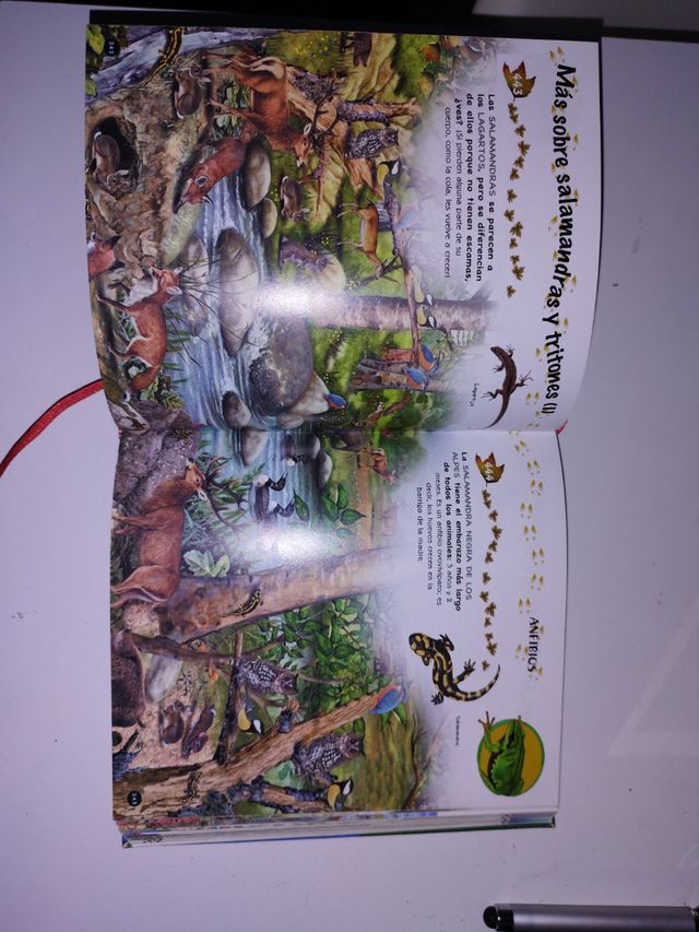 1000 preguntas y respuestas sobre los animales