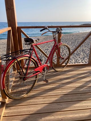 bicicleta orbea antigua de varillas

