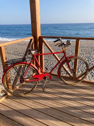 bicicleta orbea antigua de varillas
