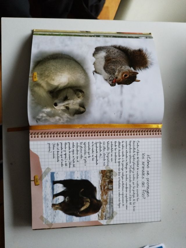 Libro Animales
