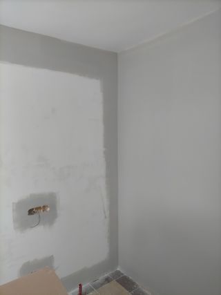 Pintor profesional 