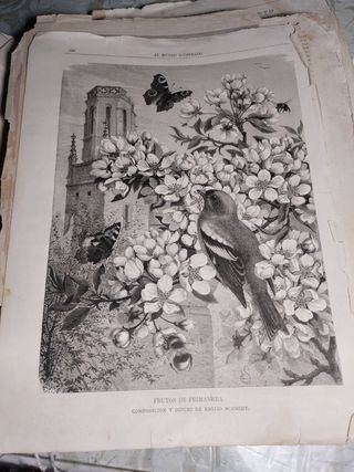 libró antiguo del año 1881