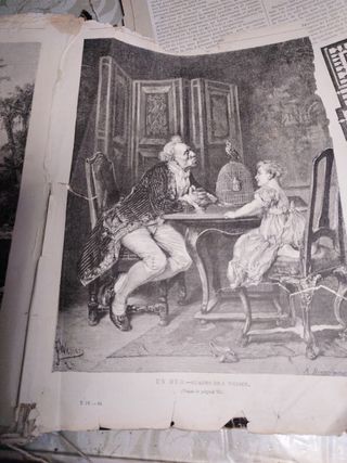 libró antiguo del año 1881